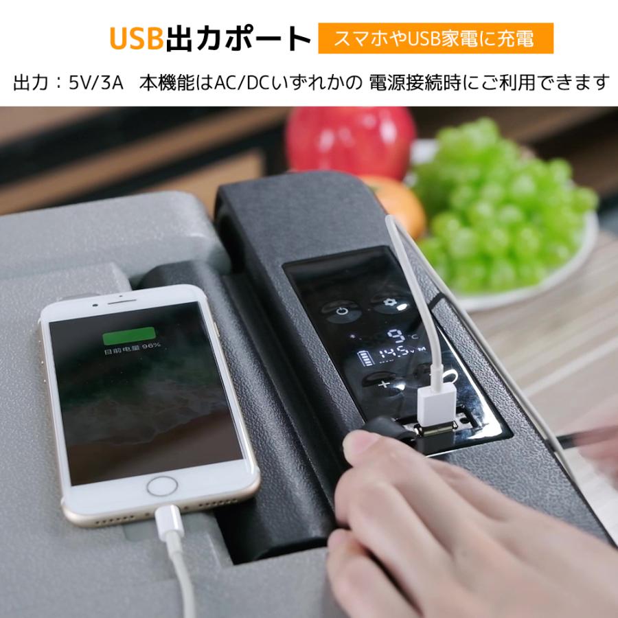 車載冷蔵庫 9L ポータブル 小型 -20℃〜20℃ [&氷点下まで脅威の冷却