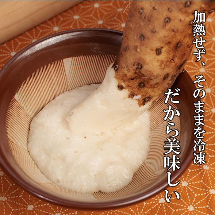 十勝産 とろろ (40g×20個入)×2袋 冷凍 マルコーフーズ LFC40 北海道産