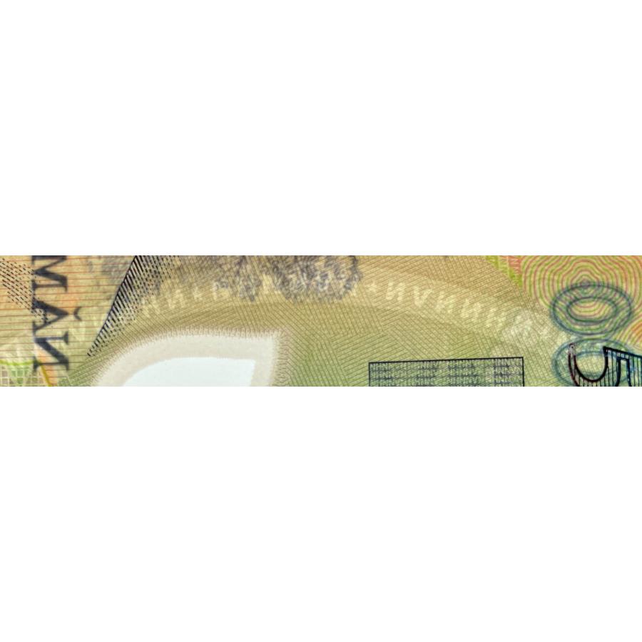 保証書付】500000ベトナムドン紙幣5枚 : 銀貨鉄道999ストア ヤフー店