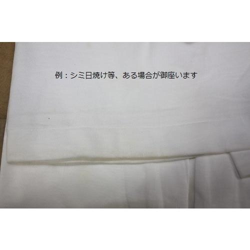 MIZUNO（ミズノ） Jリーグ Tシャツ 読売ヴェルディ チームTシャツ J1