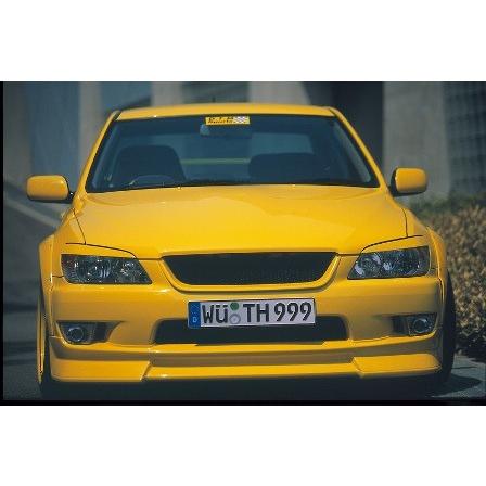 WALD（ヴァルド） アルテッツァ GXE/SXE10 フロントグリル (HOOD TOP