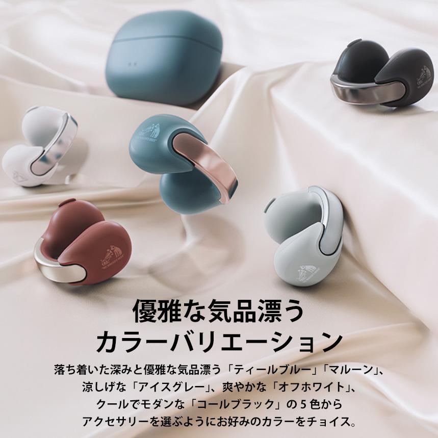 Victor（ビクター） HA-NP1T-H JVCケンウッド ワイヤレスイヤホン 耳