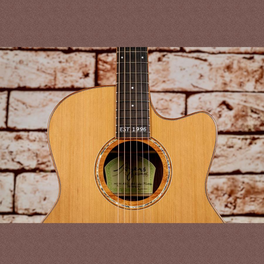 Ayers A07-C 1996 Silver Grass OTS JP Custom【トップ板：シトカ