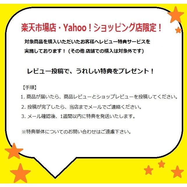 新品】【即納】 【Yahoo!ショッピング店限定 レビュー特典あり】滝沢