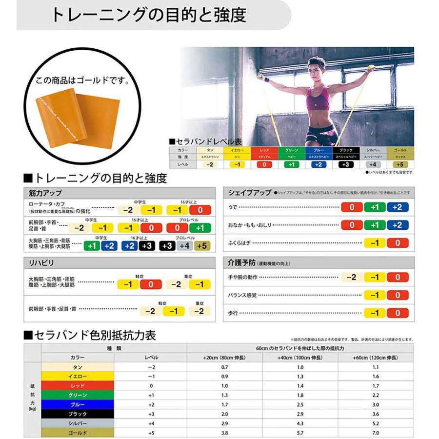 THERABAND（セラバンド） 2m 強度レベル+5 ゴールド トレーニング