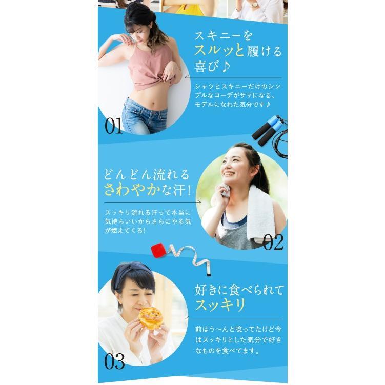 ドクタースラリ Dr.Surari ダイエット サプリメント 30粒 約1ヶ月分