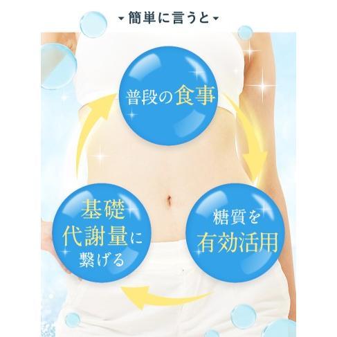ドクタースラリ Dr.Surari ダイエット サプリメント 30粒 約1ヶ月分