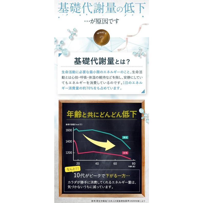 ドクタースラリ Dr.Surari ダイエット サプリメント 30粒 約1ヶ月分