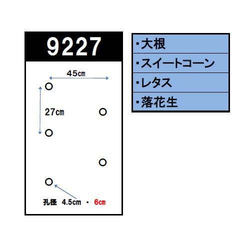 穴あきマルチ 穴あき 黒マルチ 95cm×10m 2列 9227 農業 家庭菜園