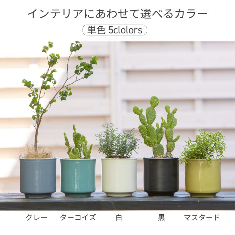 最短当日発送】 日本製 植木鉢 受け皿付 10.5x11.5cm 3.5号 4号 波佐見