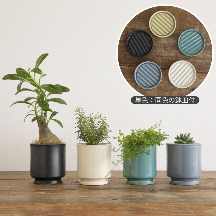 最短当日発送】 日本製 植木鉢 受け皿付 10.5x11.5cm 3.5号 4号 波佐見