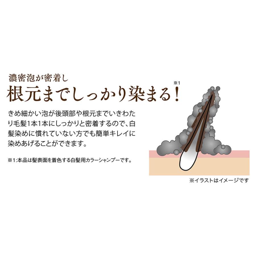 利尻 炭酸カラーシャンプー ブラック 180g : サンドラッグe-shop