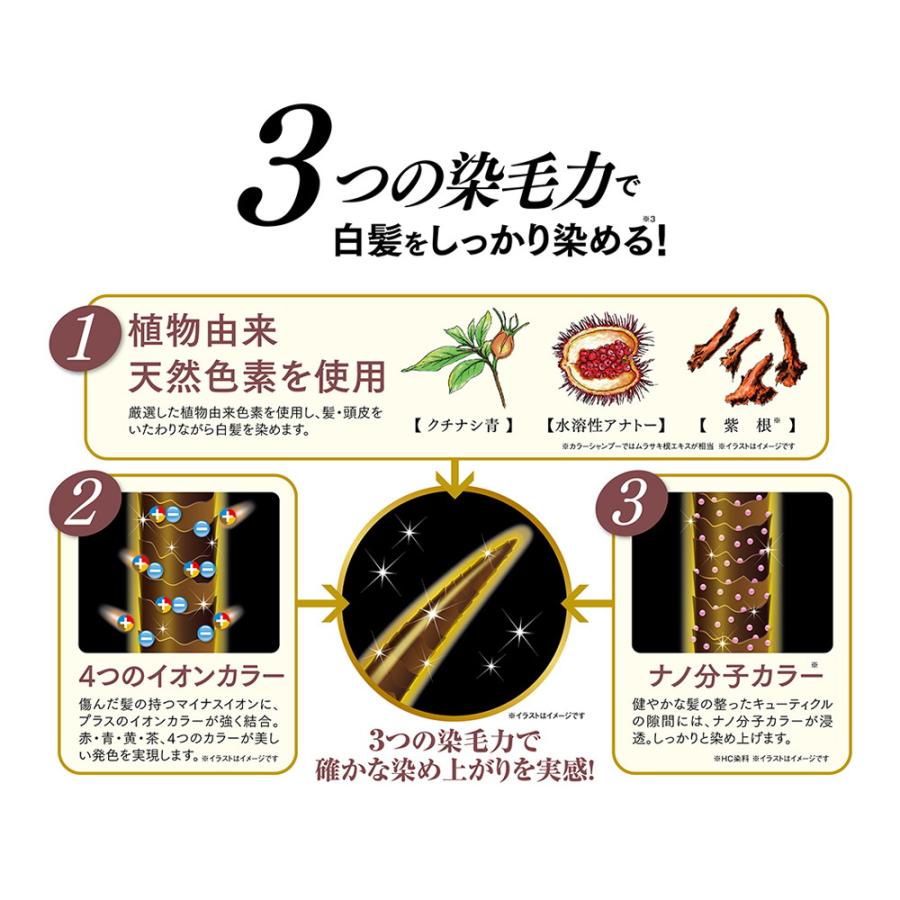 利尻 炭酸カラーシャンプー ダークブラウン 180g : サンドラッグe-shop