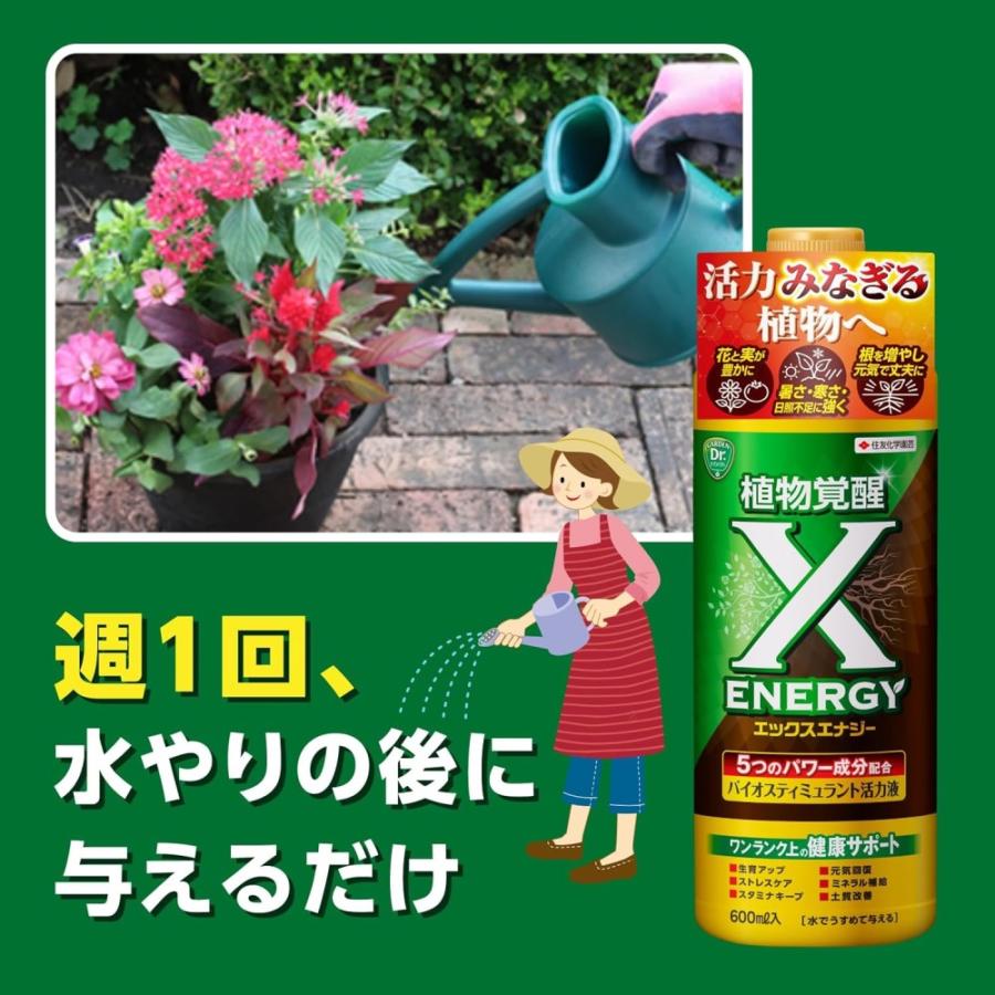 住友化学園芸 X−エナジー 600ml : サンドラッグe-shop - 通販