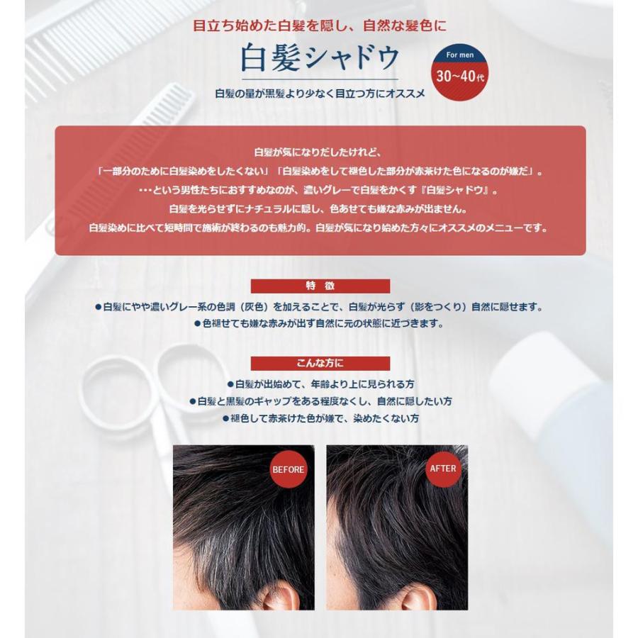 hoyu（ホーユー） カレンシアカラー ナチュラルグレー 80g : サン