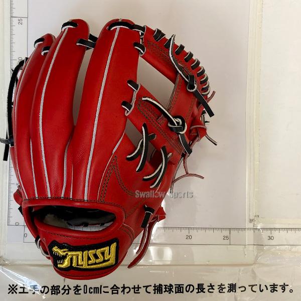 野球グローブ 野球 タイシークラフト 硬式グローブ 高校野球対応