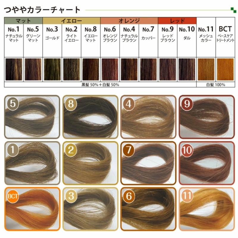 つややヘナ【No.10 ダル（セカンドカラー）】 100g ヘナ 白髪染め 業務