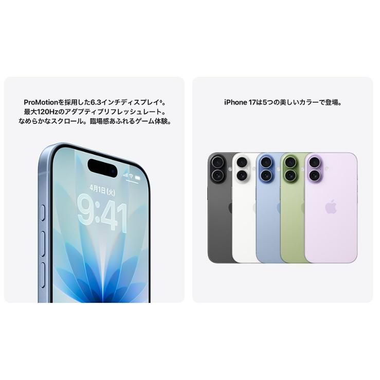 iPhone 17 「新品・未開封品」 SIMフリー 256GB ブラック : Quality