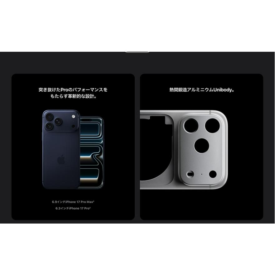 iPhone 17 Pro Max 【新品 未開封品】SIMフリー 256GB [シルバー