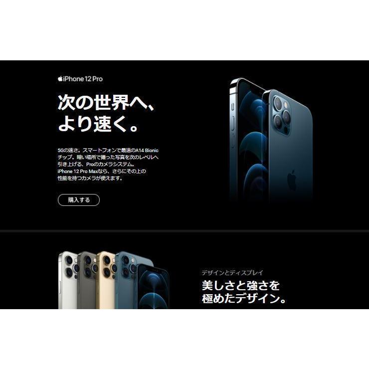 iPhone 12 Pro 「新品 未使用品 」SIMフリー iPhone12 128GB Pacific