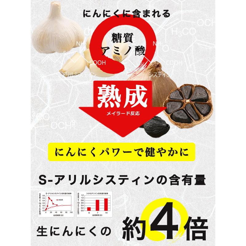 黒にんにく発酵器 黒ニンニク発酵機 黒にんにくメーカー 黒にんにく