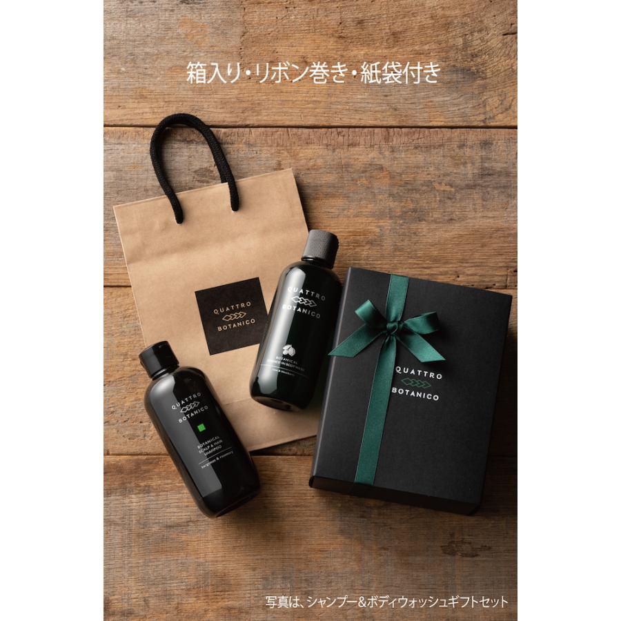 BOTANICAL カラーシャンプー ブラック 4本セット FUTURE LABO - 【新品