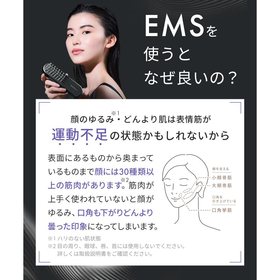 SALONIA（サロニア） 美顔器 ブラシ EMS リフトブラシ 3Dケア 頭皮 頭