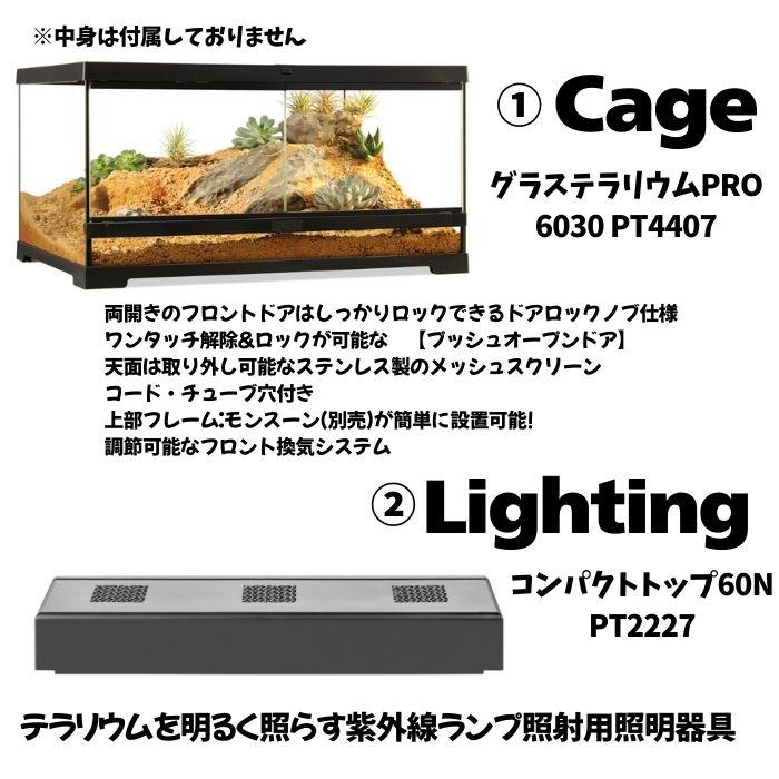 フトアゴヒゲトカゲリクガメ 飼育セット竹】初心者向け｜ケージ