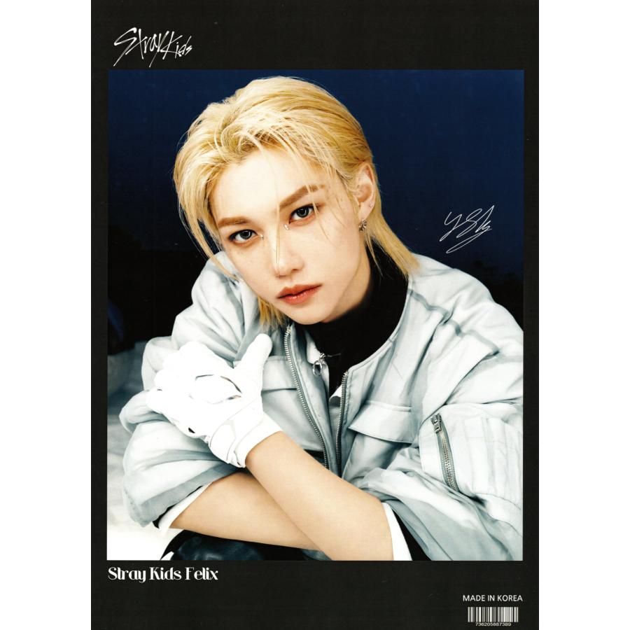 STRAY KIDS スキズ Felix フィリックス グッズ ポスター 10枚セット A4