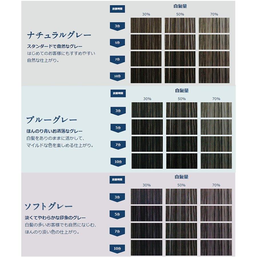 hoyu（ホーユー） カレンシアカラー ブルーグレー 80g 白髪ぼかし 1剤