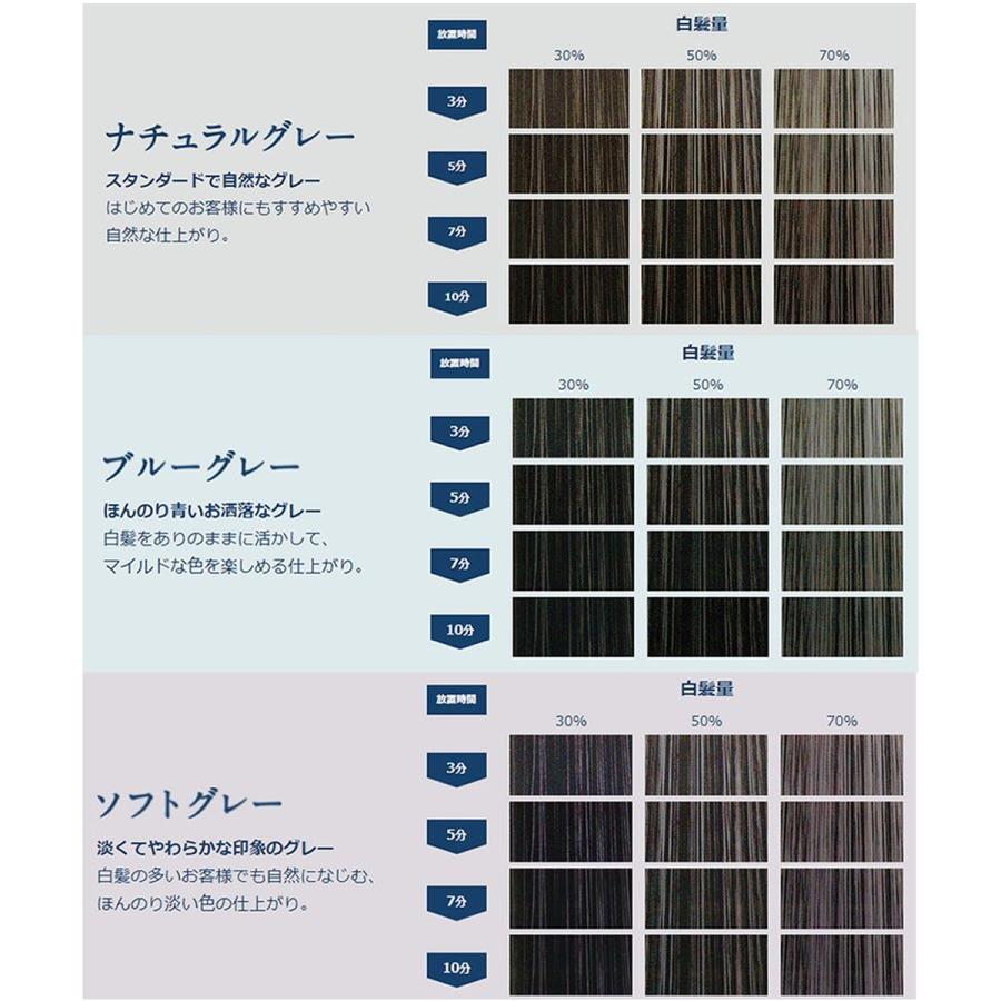 hoyu（ホーユー） 3点セット カレンシアカラー 80g ナチュラルグレー