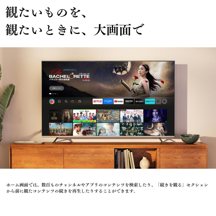 美品】レグザ24インチ液晶テレビ Amazon Fire TV Stick付 美品】レグザ