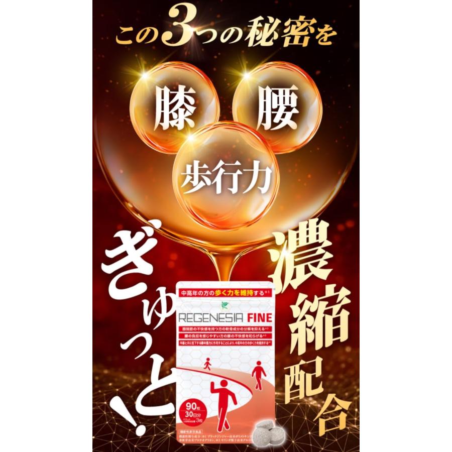 リジェネシアファイン 90粒30日分 : PositivoRegalo - 通販 - Yahoo