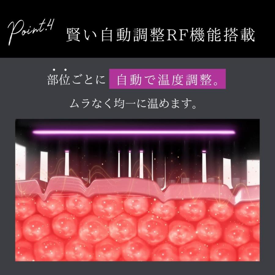 Brighte（ブライト） エレキブラシ プラス ブラシ型 美顔器 頭皮ケア