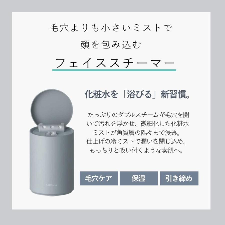 SALONIA（サロニア） ピュアブライト スチーマー 美顔器 顔 乾燥 毛穴