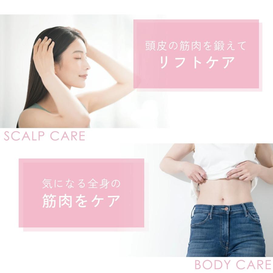 SALONIA（サロニア） emsリフトブラシ sal22206sl 美顔器 ems フェイス