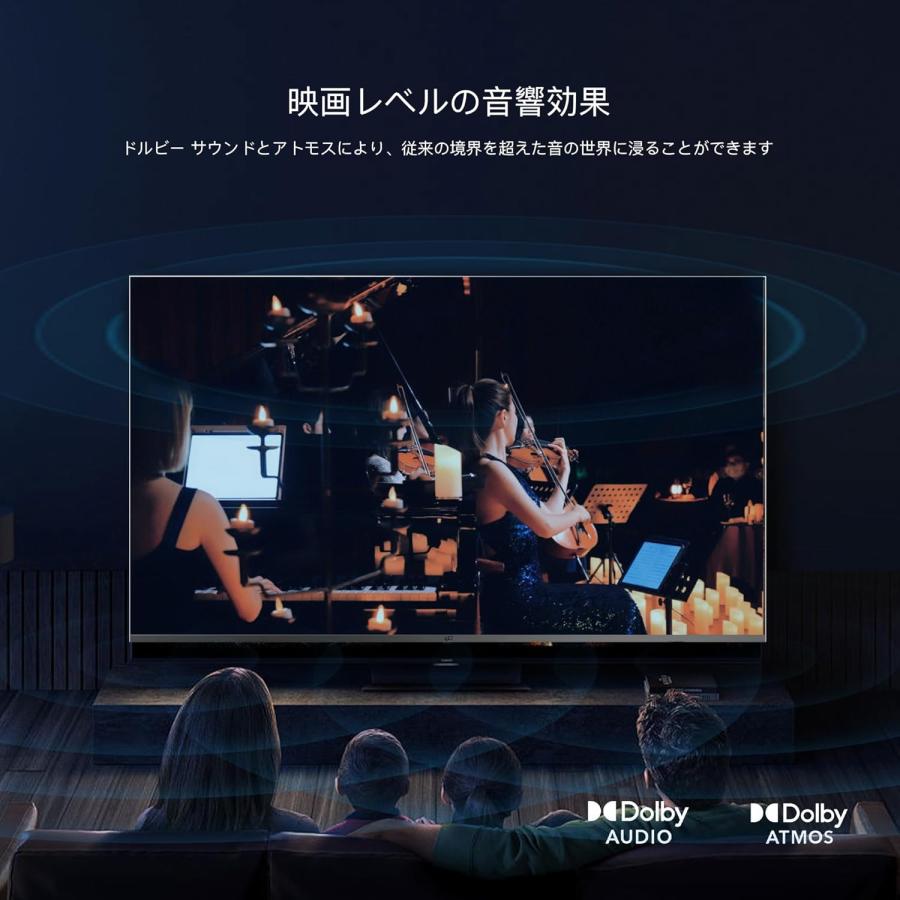 FPD チューナーレステレビ 55V型 4K Google TV ネット動画対応