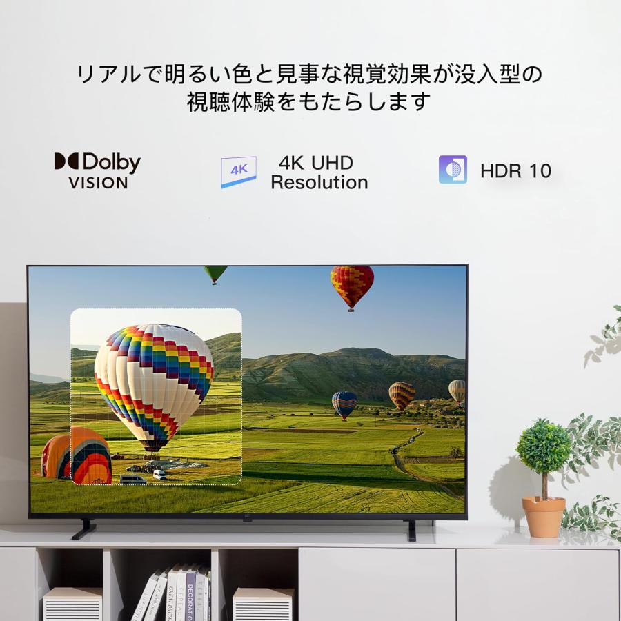 FPD チューナーレステレビ 55V型 4K Google TV ネット動画対応
