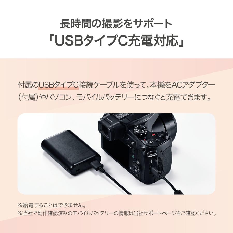 LUMIX 公式店 パナソニック デジタルカメラ DC-FZ85D コンパクト