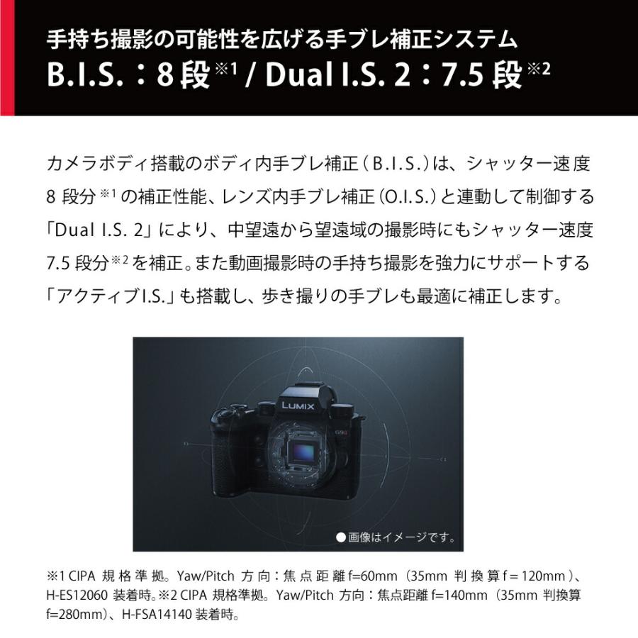 LUMIX 公式店 パナソニック デジタル一眼カメラ DC-G9M2 ボディのみ