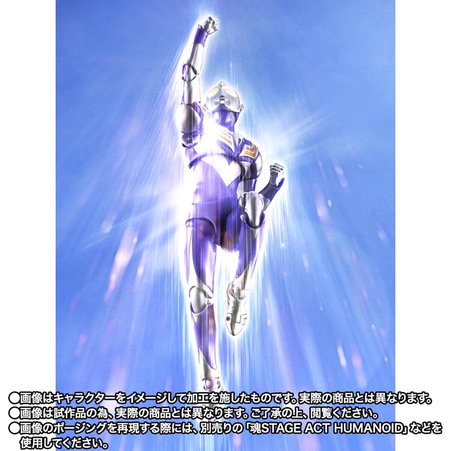 BANDAI（バンダイ） 【即納新品】S.H.Figuarts（真骨彫製法