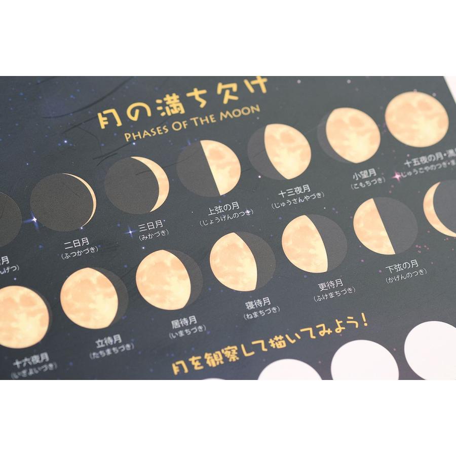 LIMEX下敷き 月の満ち欠け・星座を覚えよう 学童用B5下敷 ポスト投函