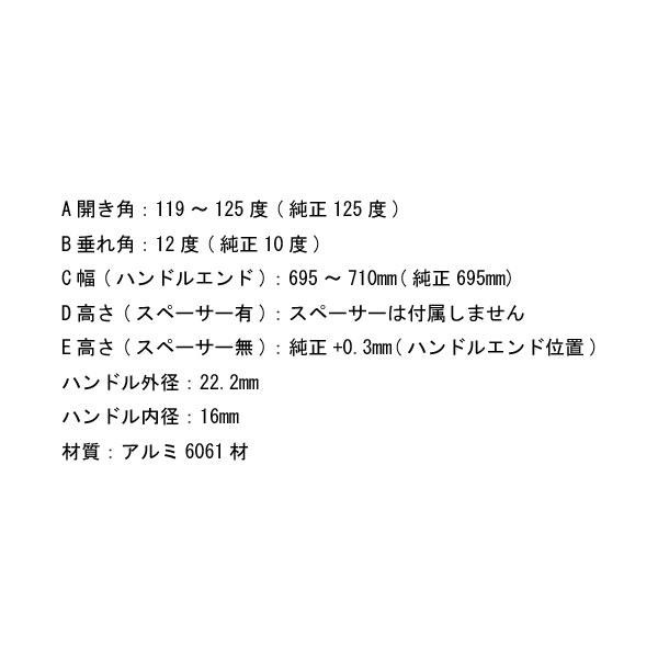 3月6日入荷予定 受付中】アクティブ ZX-25R/ZX-4R SE/ZX-4RR カワサキ