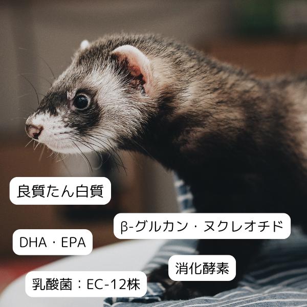 イースター フェレット セレクションプロ パフォーマンス 1kg