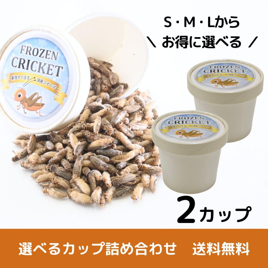 送料無料 国産冷凍コオロギ】選べるサイズ 2カップ 詰め合わせ はちゅ