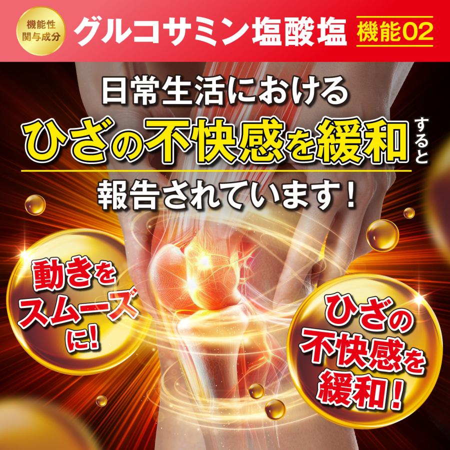 グルコサミン ヒザフェスZ ひざ 膝関節 膝の不快感 軟骨成分