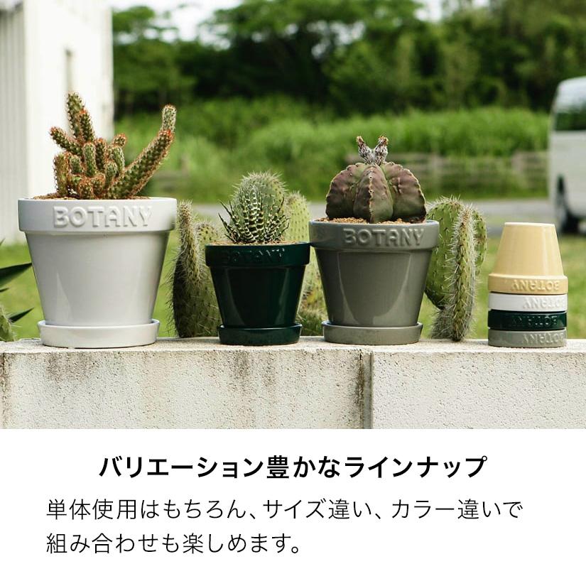 ダルトン DULTON ボタニー ポット 3 3号鉢目安 : ルミナス エレクター