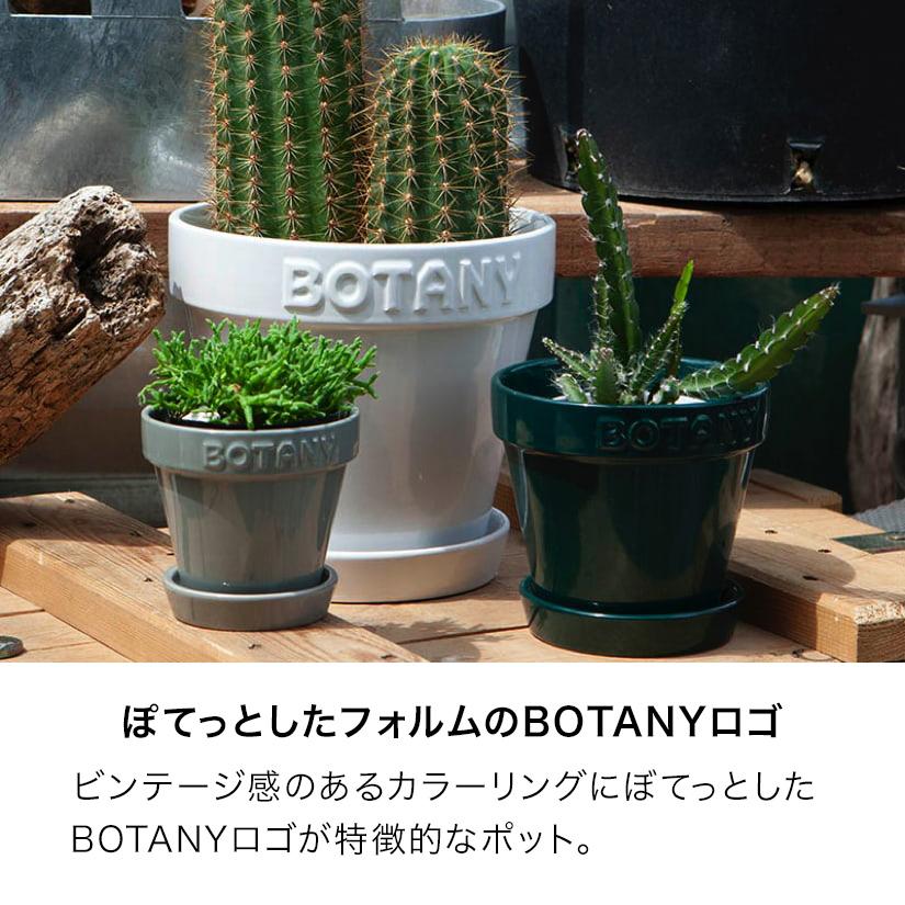 ダルトン DULTON ボタニー ポット 3 3号鉢目安 : ルミナス エレクター