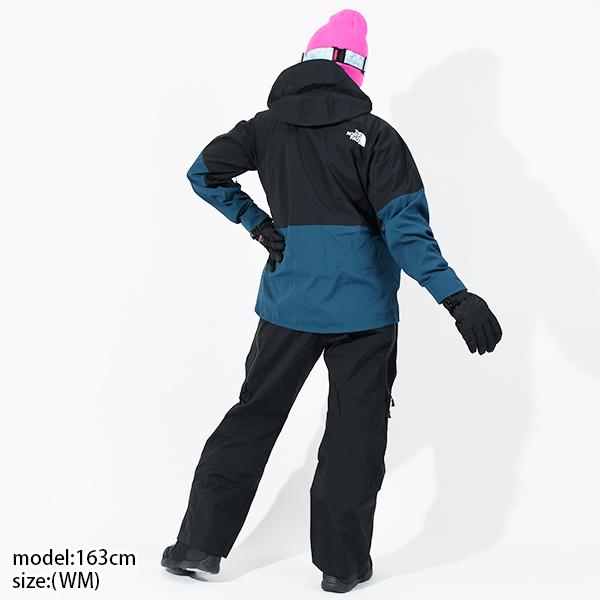 THE NORTH FACE（ザ ノースフェイス） ノースフェイス レディース 高