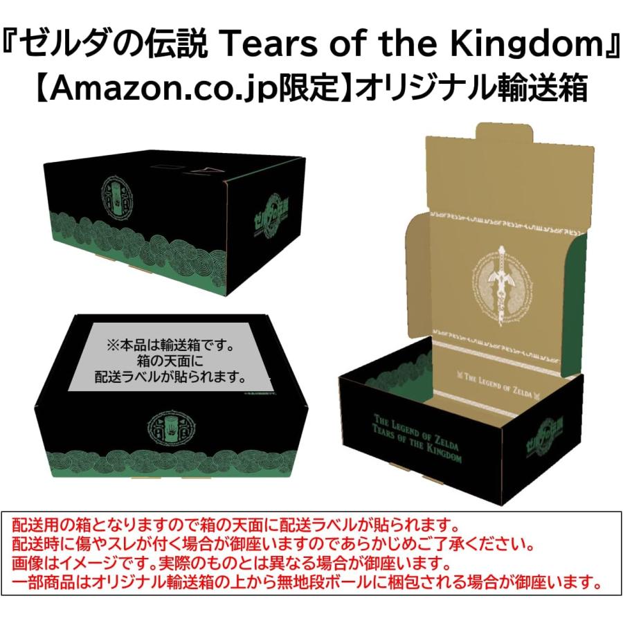 amiibo ガノンドロフ【ティアーズ オブ ザ キングダム】（ゼルダの伝説